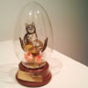 Meet your Posher, Kathleen